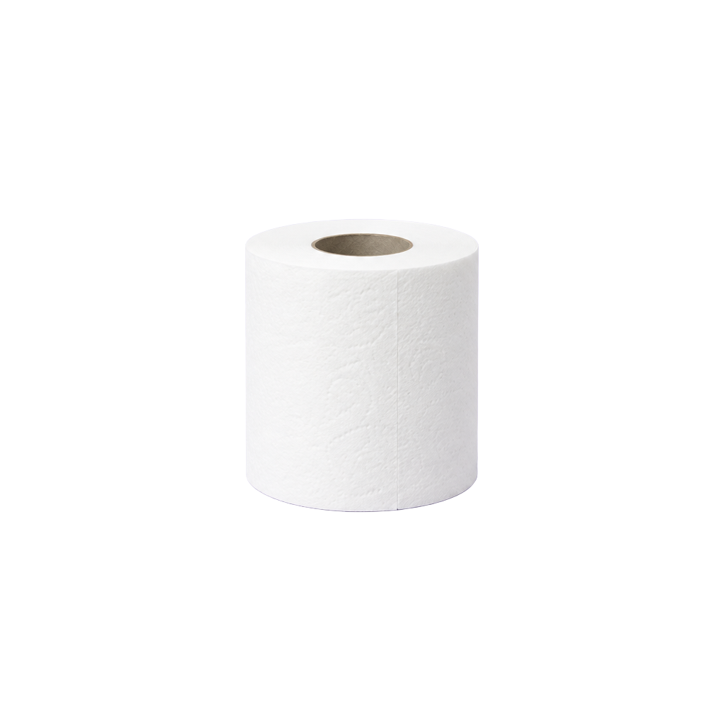 toilet roll still-life